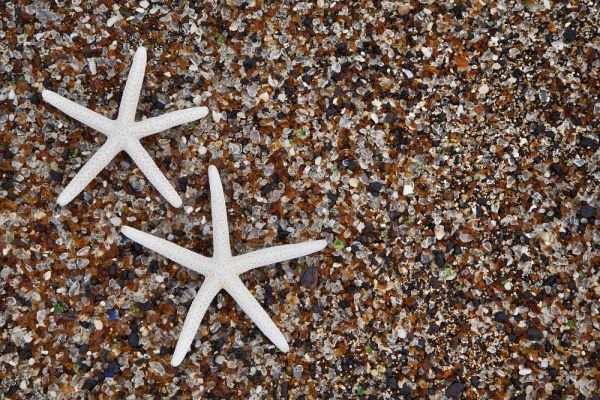 Hawaii, Kauai Starfish skeletons on Glass Beach